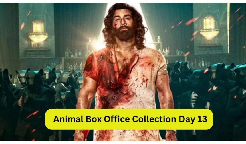 Animal Box Office Collection Day 13: बॉक्स ऑफिस पर छाया अभी भी एनिमल का खुमार, 13वें दिन की कितना कलेक्शन