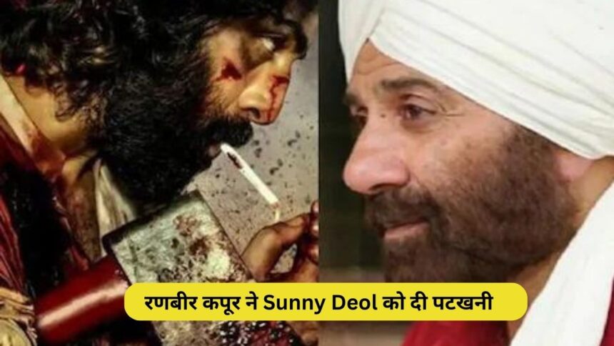 Animal Worldwide Box Office: रणबीर कपूर ने Sunny Deol को दी पटखनी, 'उसने तोड़ा रिकॉर्ड