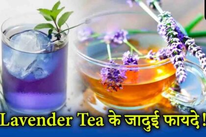 Lavender Tea: जानिए दुनिया के सबसे सुगंधित पौधे के चाय के बारे में, और सर्दी में कैसे हैं सेहत के लिए लाभदायक!