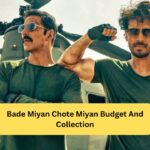 bade miyan chote miyan budget and collection